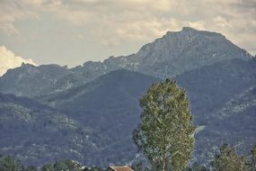 Landscape of high forestry mountains