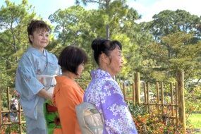 Festival in Japan