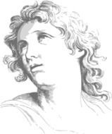 woman face with curls, antique style drawing