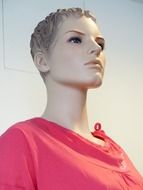 mannequin in a red sweater