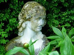 statue of a woman among green plants