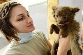 veterinarian holds a puppy in his hands