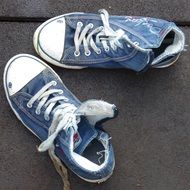 shoes sneakers canvas