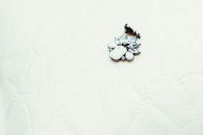 earring on a white surface