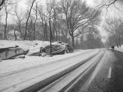 landscape winter