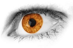 abstract orange eye drawing