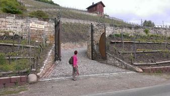 woman in front of the gate to vineyards, germany, naumburg