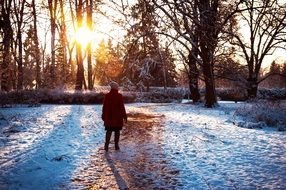 woman walking in a snowy park