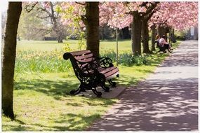 park bench bright green spring blossom