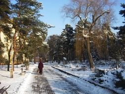 woman in a city winter park