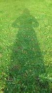 shadow of woman on a grass