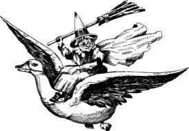 witch on the goose