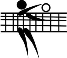 Picture of volleyball player