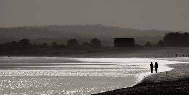 couple of lovers walking along the beach