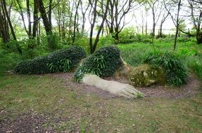 Landscape of natural sculpture in a lost garden