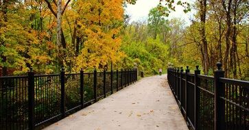 Photo of park in autumn season