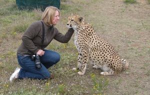 girl with a camera strokes a cheetah