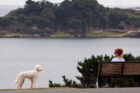 woman and dog on the lake