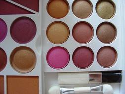 photo of palette with pink eye shadows