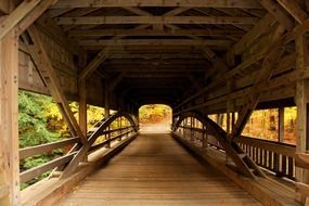 wooden covered bridge in the forest