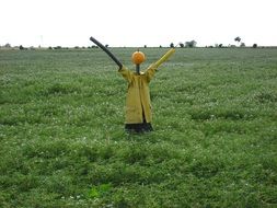 Scarecrow on the field