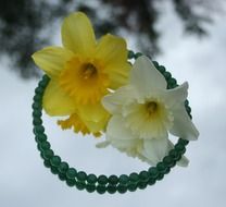 daffodils lie on a necklace