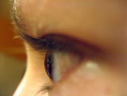 eyebrows and eyes of a girl close up