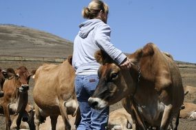 Woman with the cows