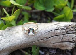 a gold ring with a stone lies on a tree trunk