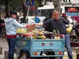 mini car with pineapples