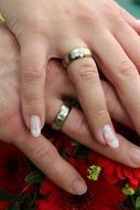 Woman and man are holding hands of each other