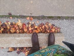fall boots