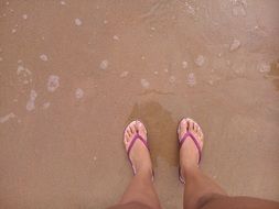 feet in pink flip flopsrs by the water