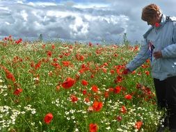 woman among red poppies on a summer meadow