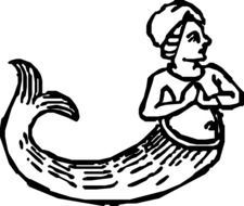 graphic image of a mermaid