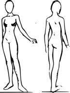 female bodies, sketch