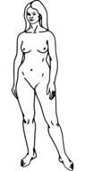 woman nude drawing