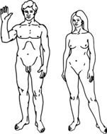naked man and woman as two figures