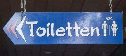 blue toilet signpost