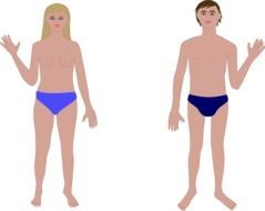 drawn woman and man in blue shorts