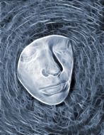 ice face