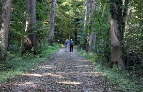 Photo of hiking woman and man in the forest