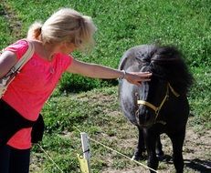 blonde stroking a pony