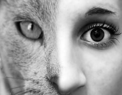 face of cat and woman