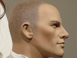 portrait of a male mannequin in profile