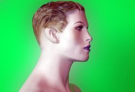 graphic image of a dummy in profile