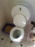 photo of white toilet and cat litter