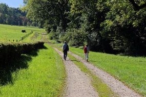 nature walks