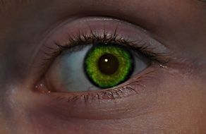 Closeup photo of Green eye