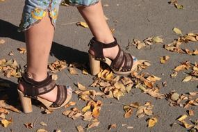 female legs in shoes on high heels on fallen leaves